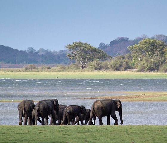 National Parks