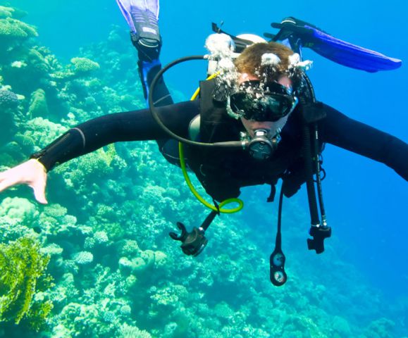 Diving in Sri Lanka