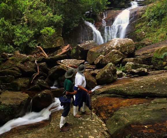 Rain Forest Trails in Sri Lanka