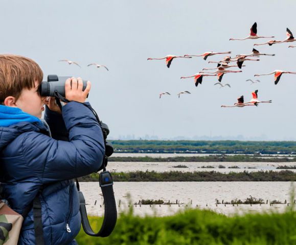 Birds watching in Sri Lanka